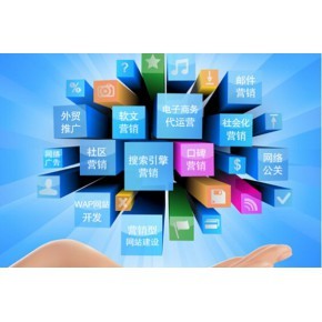 網(wǎng)站建設(shè)與運(yùn)營 從著陸頁設(shè)計(jì)到持續(xù)發(fā)展