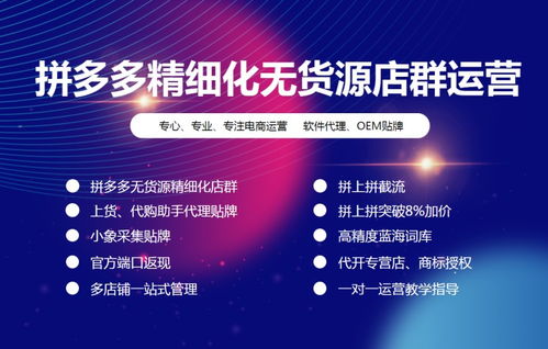 精細(xì)化運(yùn)營助力陜西拼多多代運(yùn)營公司 拼上拼軟件、貼牌大象采集與網(wǎng)站建設(shè)的一體化解決方案